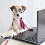 BYOD security and productivity problems