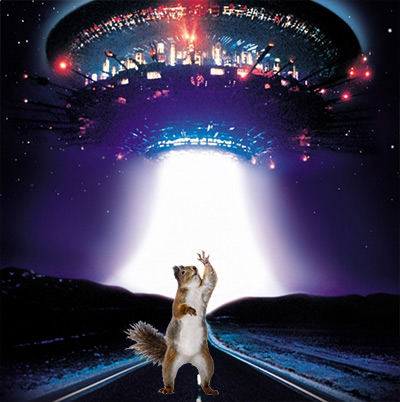 Animal Encounters of the IT Kind